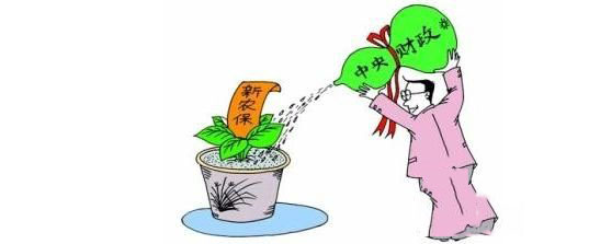 新農保怎么繳費？ 第1張