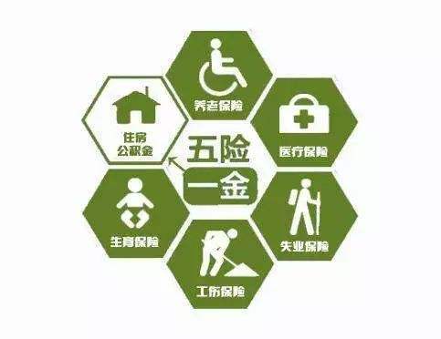 公司給員工繳納五險(xiǎn)一金是按照什么比例繳納的? 第1張 公司給員工繳納五險(xiǎn)一金是按照什么比例繳納的? 第1張