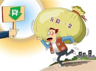 職工五險一金繳費比例 第1張 職工五險一金繳費比例 第1張